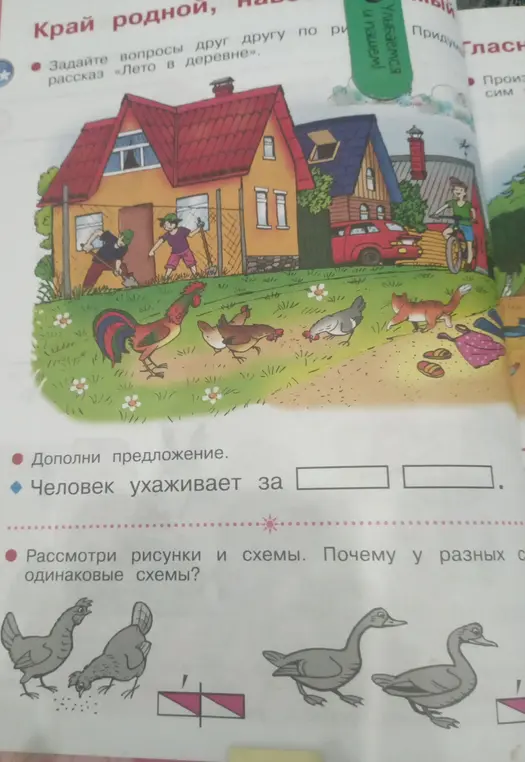 Помоги мне дополнить предложение: человек ухаживает за...