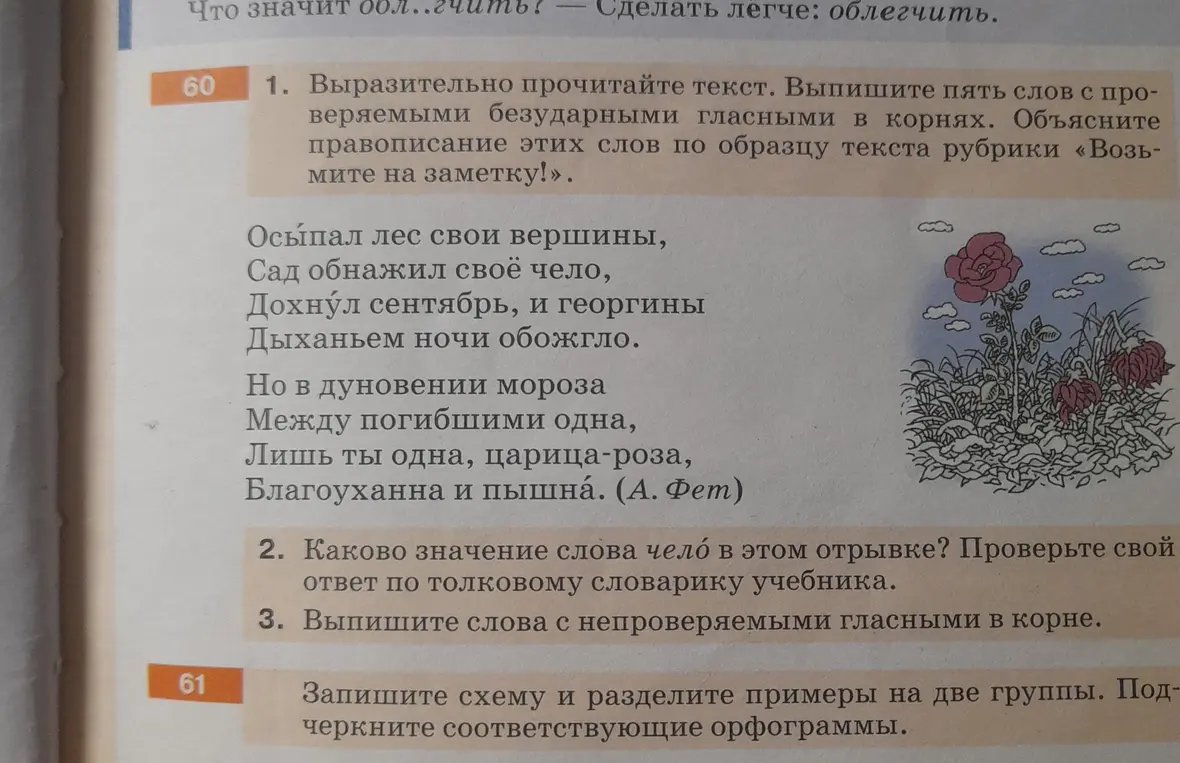Выразительно прочитай текст. Выпиши пять слов с проверяемыми безударными гласными в корнях.