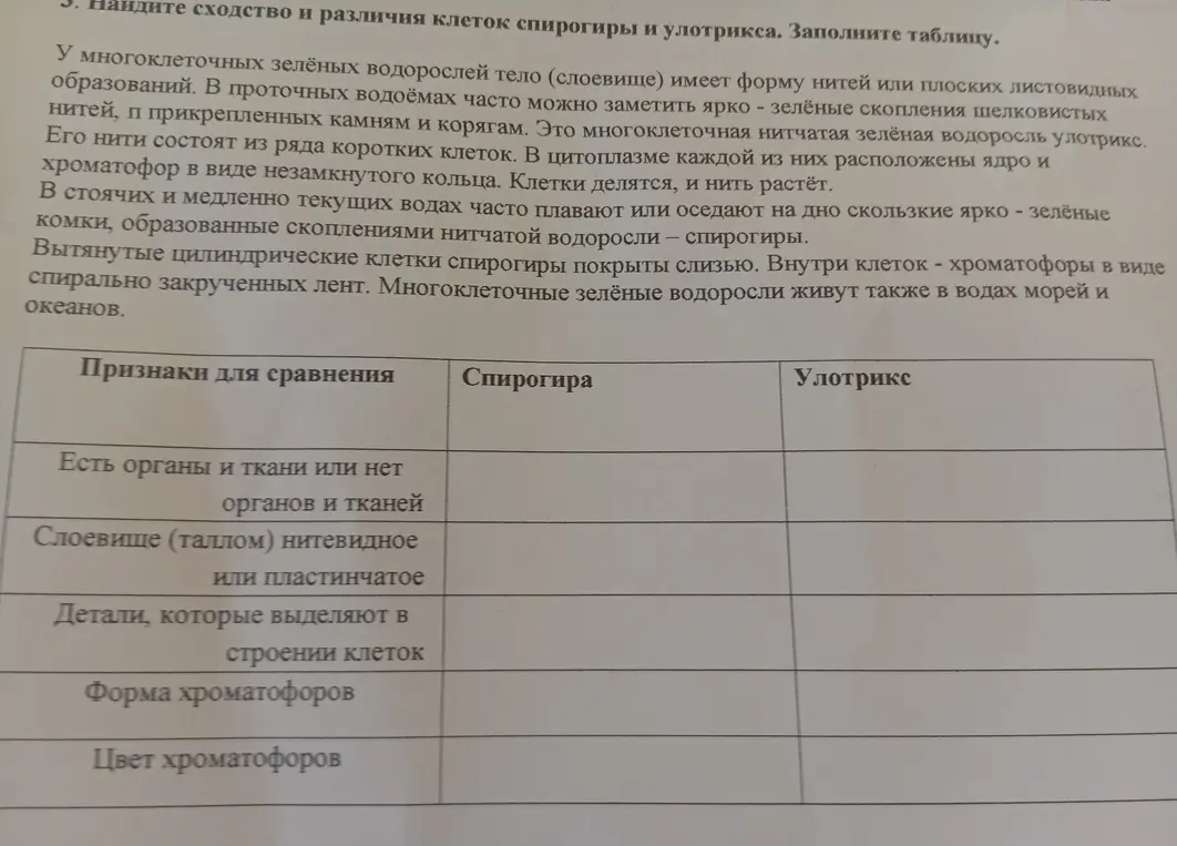 Помоги найти сходства и различия клеток спирогиры и улотрикса и заполнить таблицу
