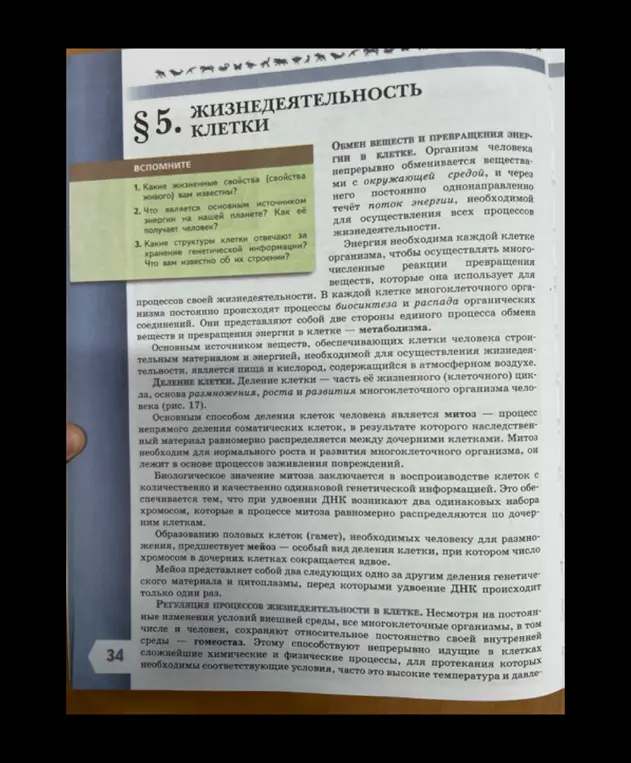 Какие жизненные свойства тебе известны? Что является основным источником энергии на нашей планете и как её получает человек? Какие структуры клетки отвечают за хранение генетической информации?