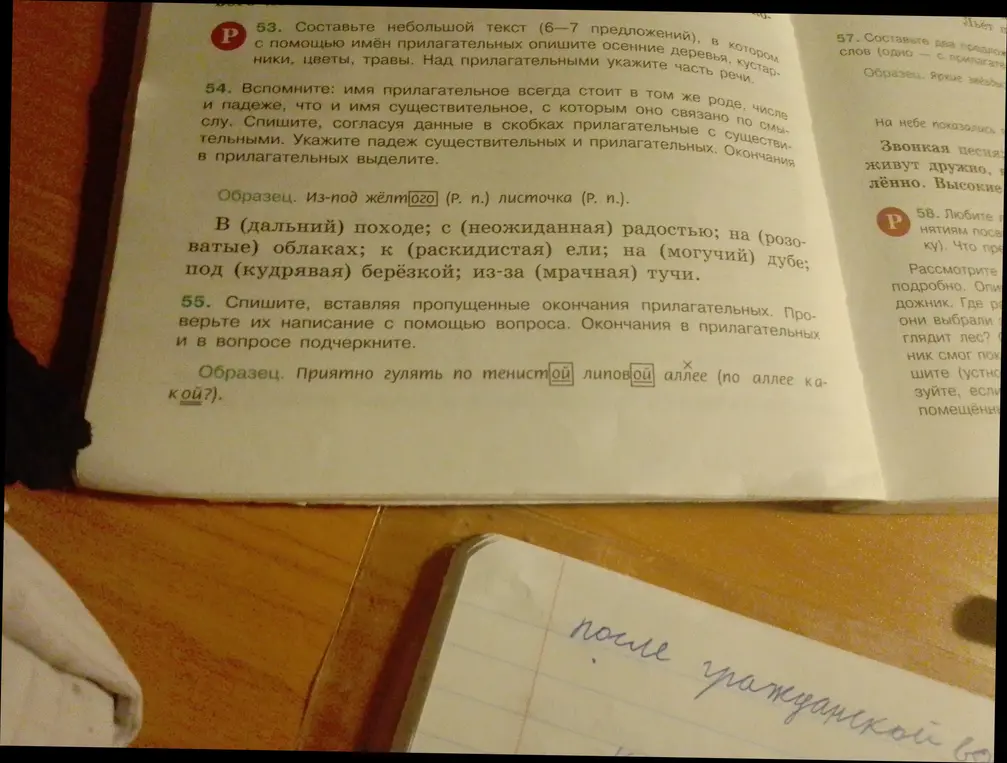 Согласуй данные в скобках прилагательные с существительными и вставь пропущенные окончания прилагательных.