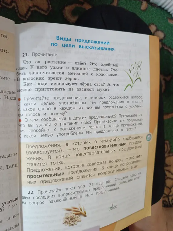 Прочитай текст упр. 21 ещё раз. Спиши одно из двух последних вопросительных предложений. Запиши ответ на вопрос, заключённый в этом предложении.