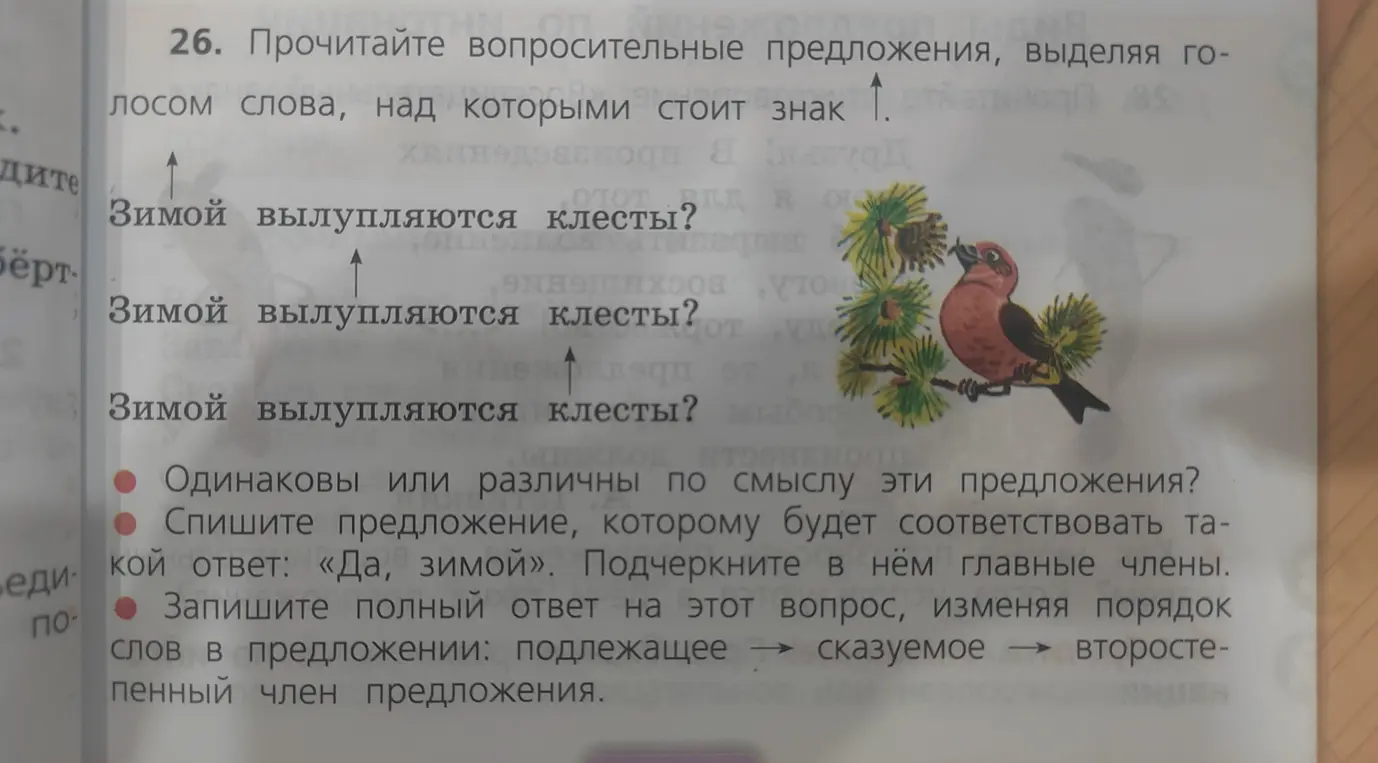 Определи вопросительные предложения, выдели голосом слова, над которыми стоит знак стрелки вверх в предложении «Зимой вылупляются клесты?»