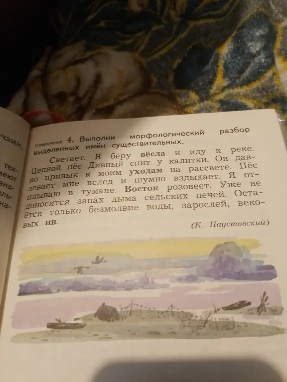Выполни морфологический разбор выделенных имён существительных