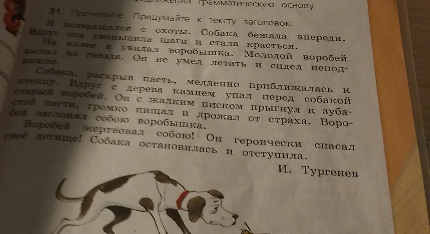 Составь план к тексту про воробья и собаку