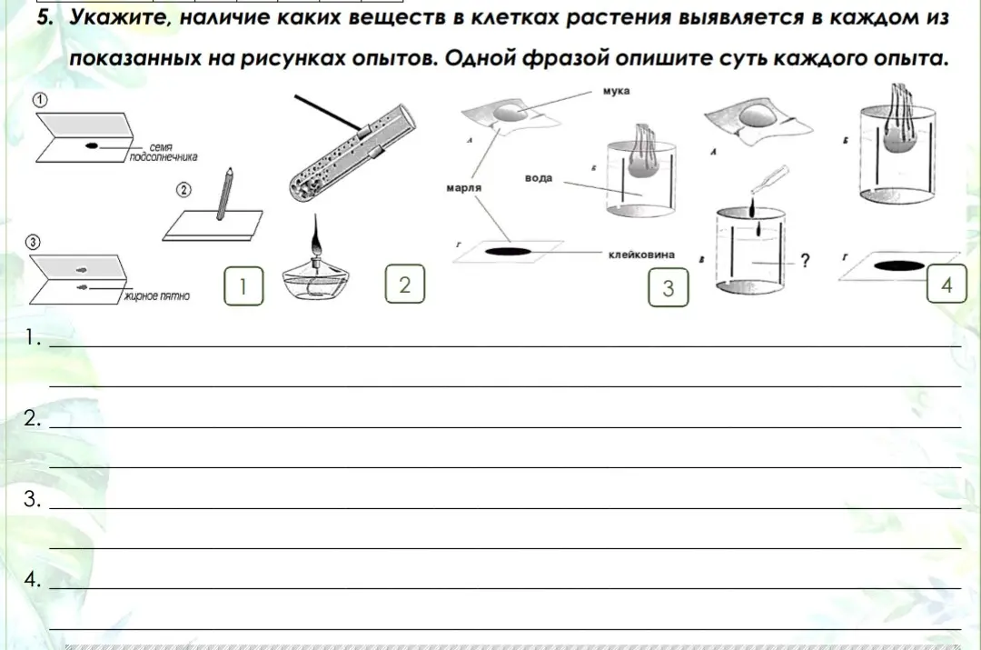 Укажи, наличие каких веществ в клетках растения выявляется в каждом из показанных на рисунках опытов.