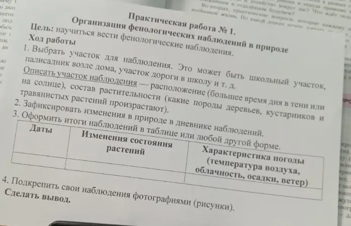Можешь написать про парк Ленинский в городе Тетюши для практической работы по фенологическим наблюдениям в природе?