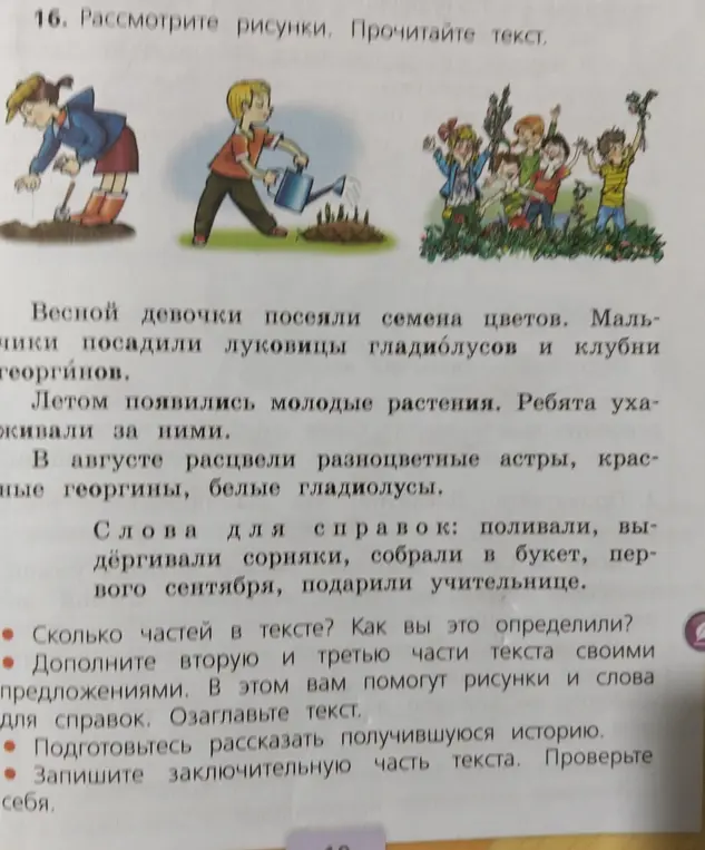 Сколько частей в тексте?