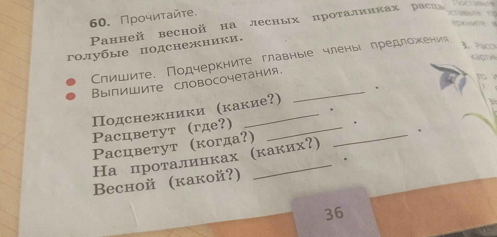 Выпиши словосочетания: подснежники (какие?)