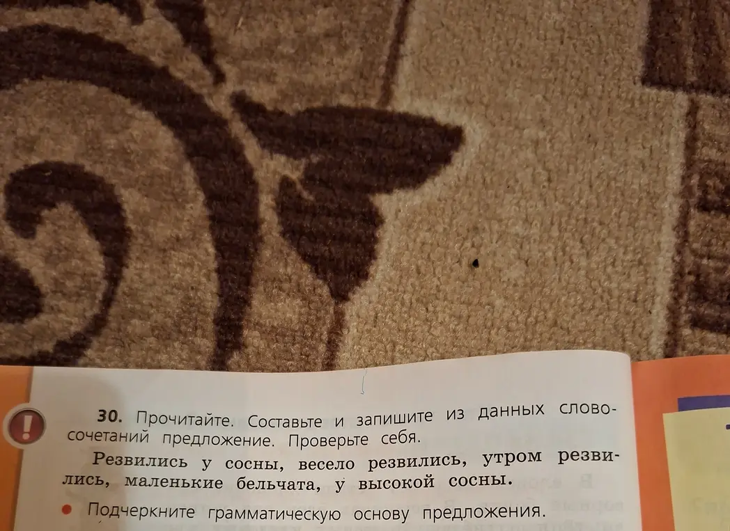 Составь и запиши из данных словосочетаний предложение. Подчеркни грамматическую основу предложения.