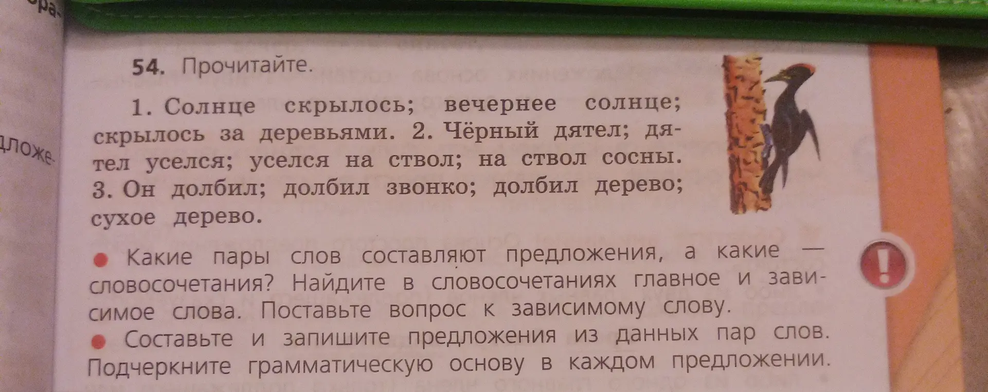 Составь предложения из данных пар слов и подчеркни грамматическую основу в каждом предложении