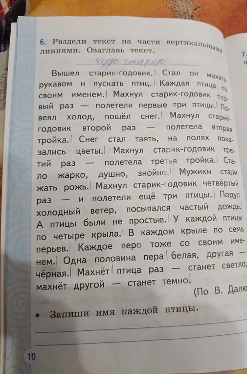 Раздели текст на части вертикальными линиями и запиши имя каждой птицы