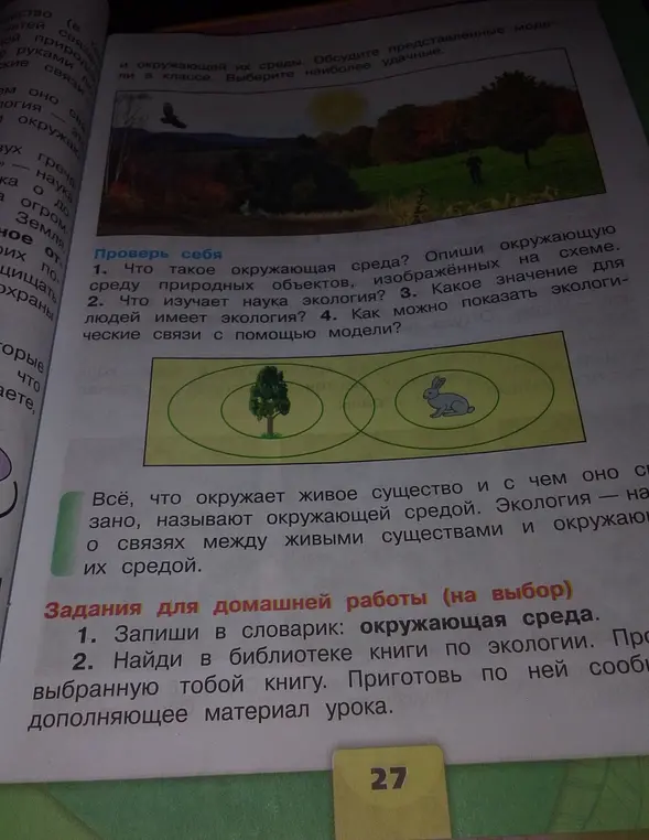 Что такое окружающая среда и что изучает наука экология?