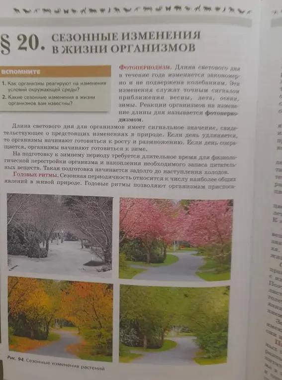 Объясни, как организмы реагируют на изменения условий окружающей среды и какие сезонные изменения в жизни организмов известны