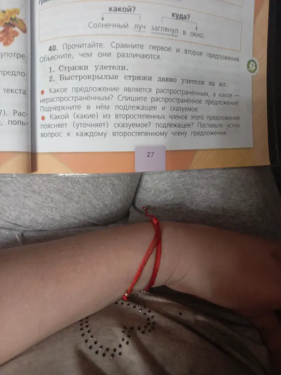 Объясни, чем различаются предложения "Стрижи улетели" и "Быстрокрылые стрижи давно улетели на юг", определи распространённое предложение, подчеркни подлежащее и сказуемое, определи второстепенные члены предложения