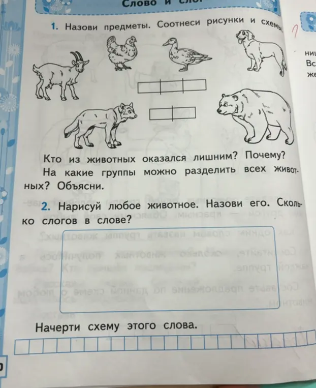 Назови предметы на картинке, определи лишнее животное и объясни, на какие группы можно разделить всех животных