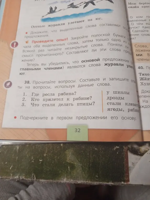 Составь и запиши ответы на вопросы к тексту: Где росла рябина?