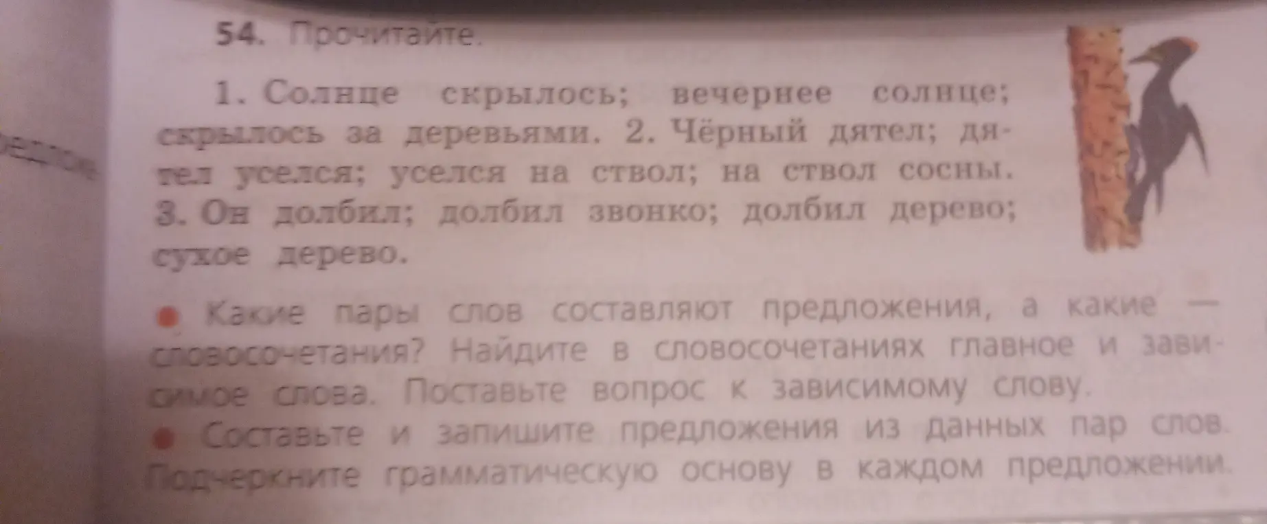 Определи, какие пары слов из текста составляют предложения, а какие - словосочетания.
