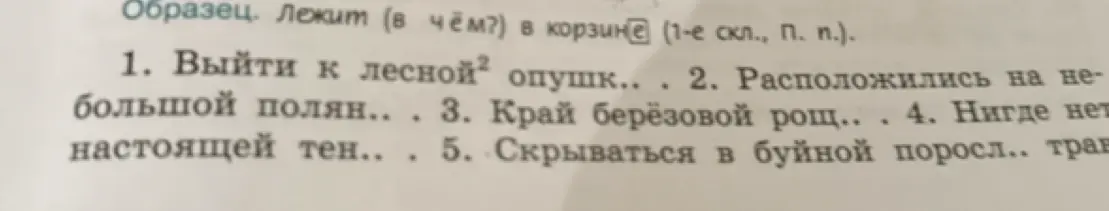 Определи падеж у существительных в предложениях.