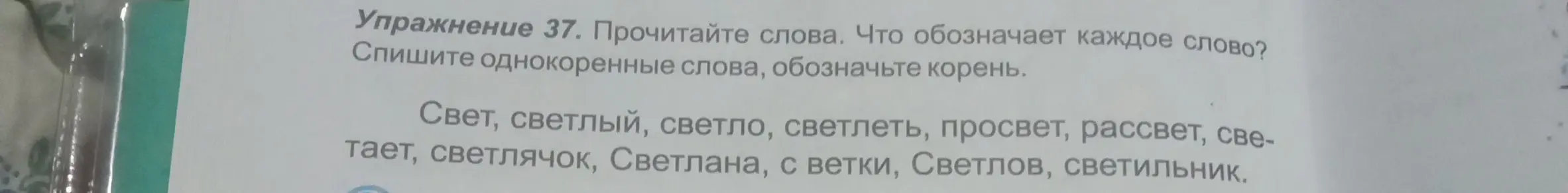 Определи однокоренные слова к слову "свет"