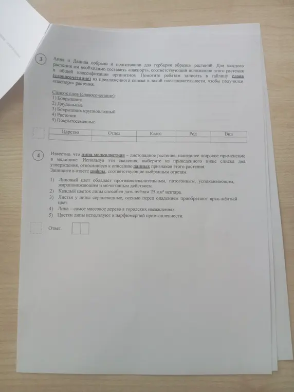 Помоги составить «паспорт» растения, записав в таблицу слова в нужной последовательности, и выбери два утверждения о липе мелколистной.