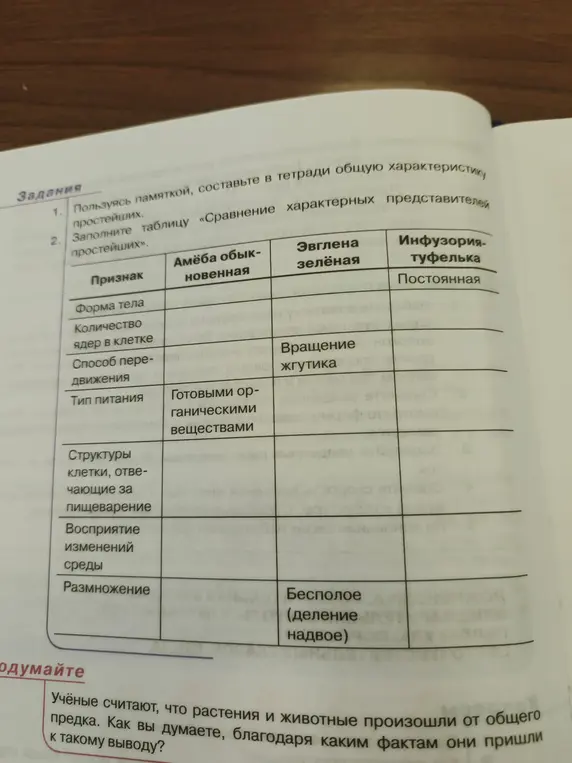 Заполни таблицу "Сравнение характерных представителей простейших"