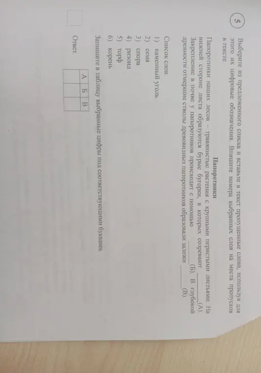 Выбери из предложенного списка и вставь в текст пропущенные слова про папоротники, используя для этого их цифровые обозначения. Впиши номера выбранных слов на места пропусков в тексте.