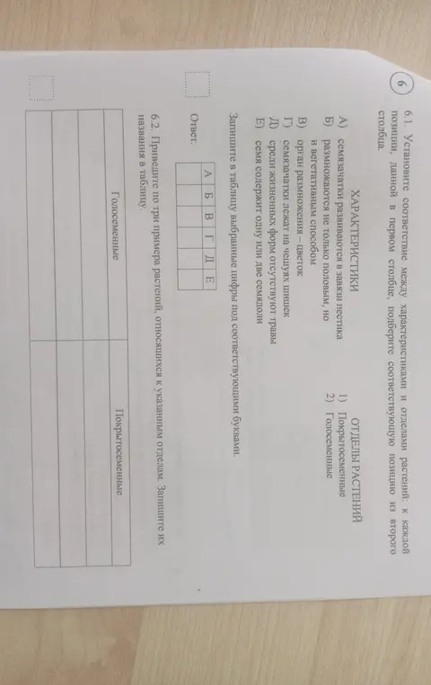 Можешь ли ты установить соответствие между характеристиками и отделами растений и привести примеры растений, относящихся к указанным отделам?