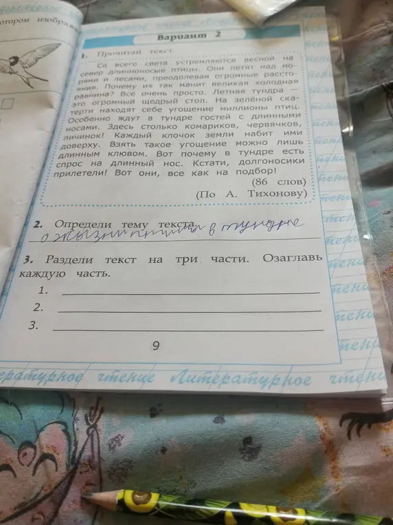 Раздели текст про птиц в тундре на три части и озаглавь каждую часть.