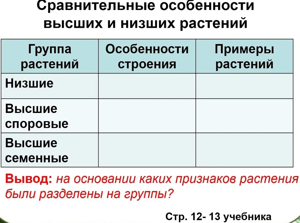 По каким признакам растения разделяют на группы?