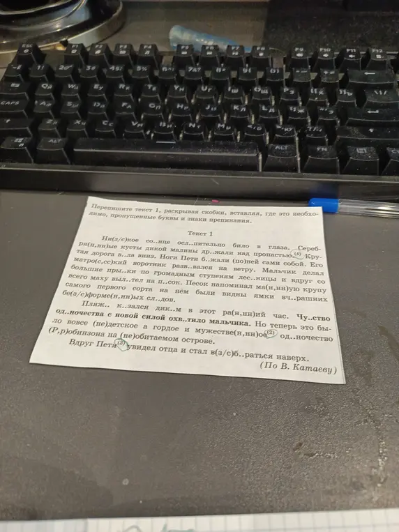 Помоги переписать текст 1, раскрывая скобки, вставляя, где это необходимо, пропущенные буквы и знаки препинания.
