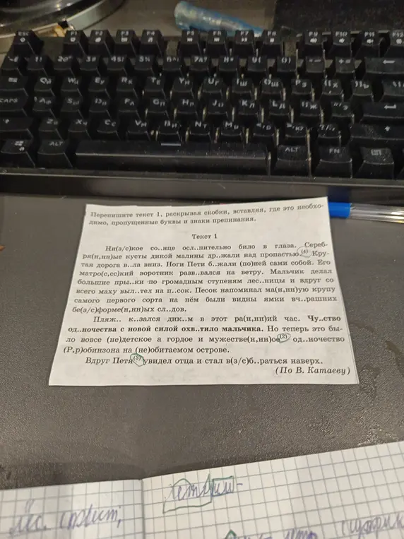 Помоги переписать текст, раскрывая скобки, вставляя, где это необходимо, пропущенные буквы и знаки препинания