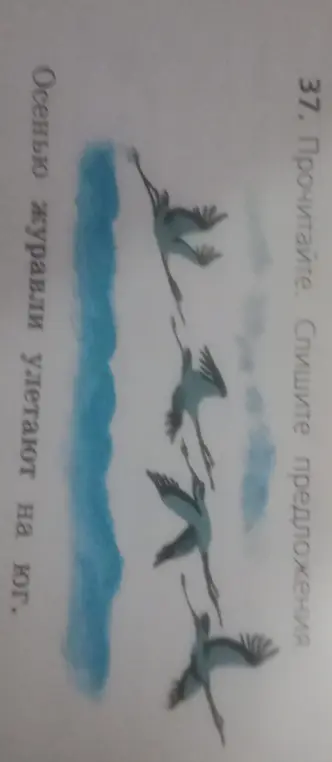 Прочитай и спиши предложения