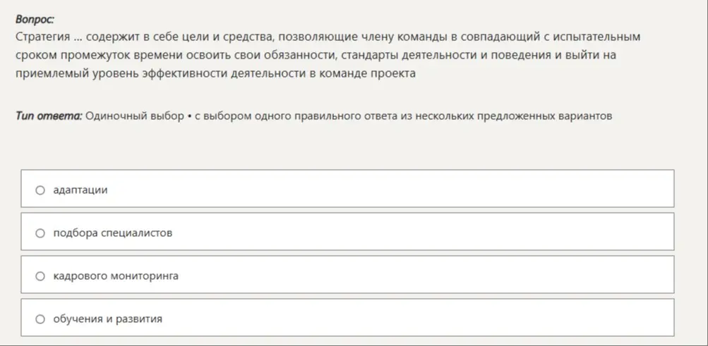 Какая стратегия содержит цели и средства, позволяющие члену команды освоить свои обязанности в испытательный срок?