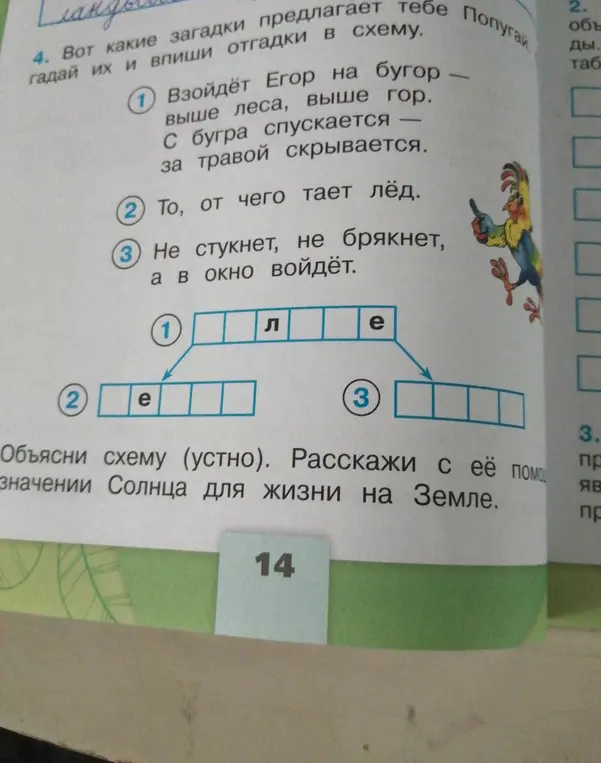 Разгадай загадки и впиши отгадки в схему