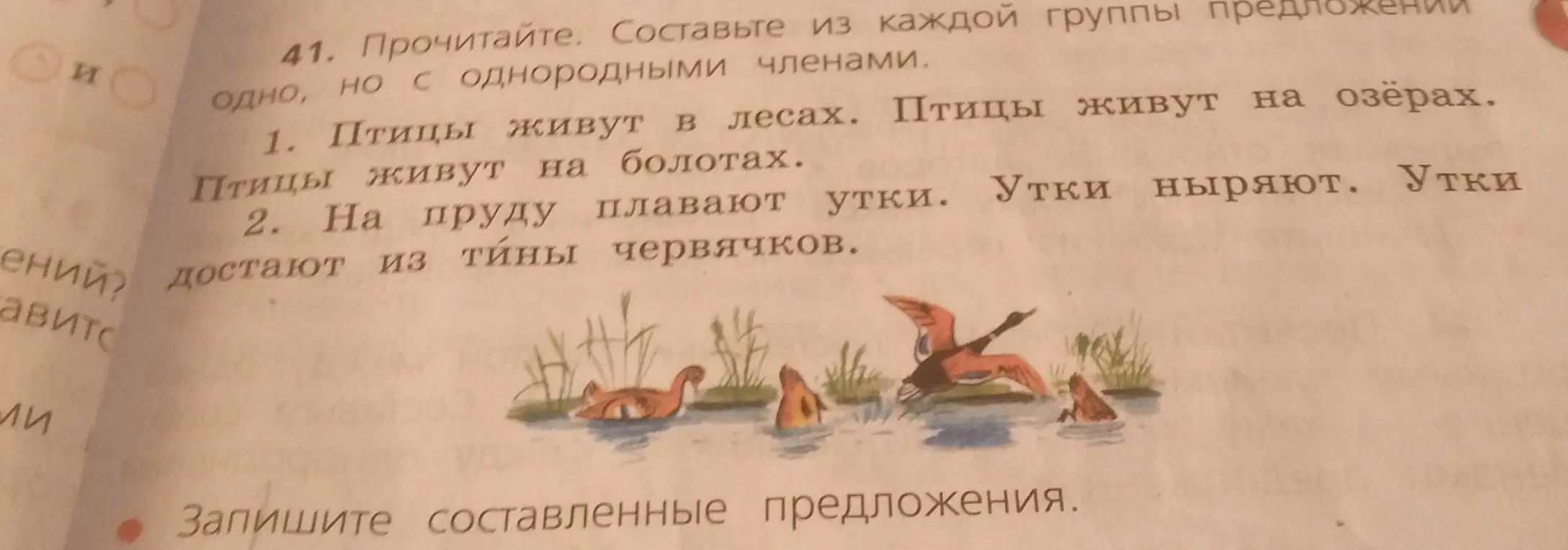 Составь из каждой группы предложений одно, но с однородными членами.