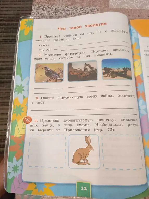 Прочитай учебник на стр. 26 и расшифруй значение греческих слов: «Экос» и «логос»