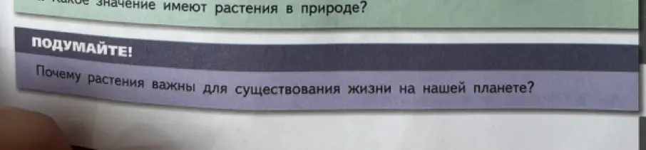 Объясни, почему растения важны для существования жизни на нашей планете.