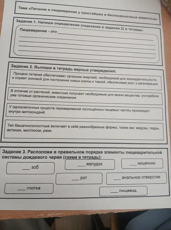 Ты просишь написать определение пищеварения, выписать верные утверждения и расположить в правильном порядке элементы пищеварительной системы дождевого червя.
