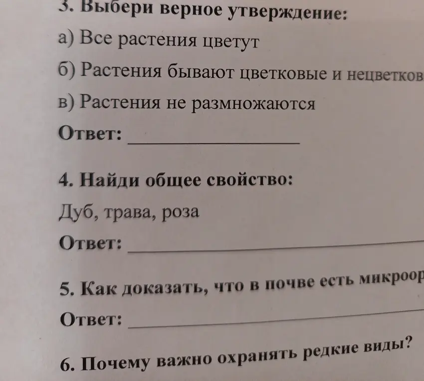 Выбери верное утверждение: а) Все растения цветут