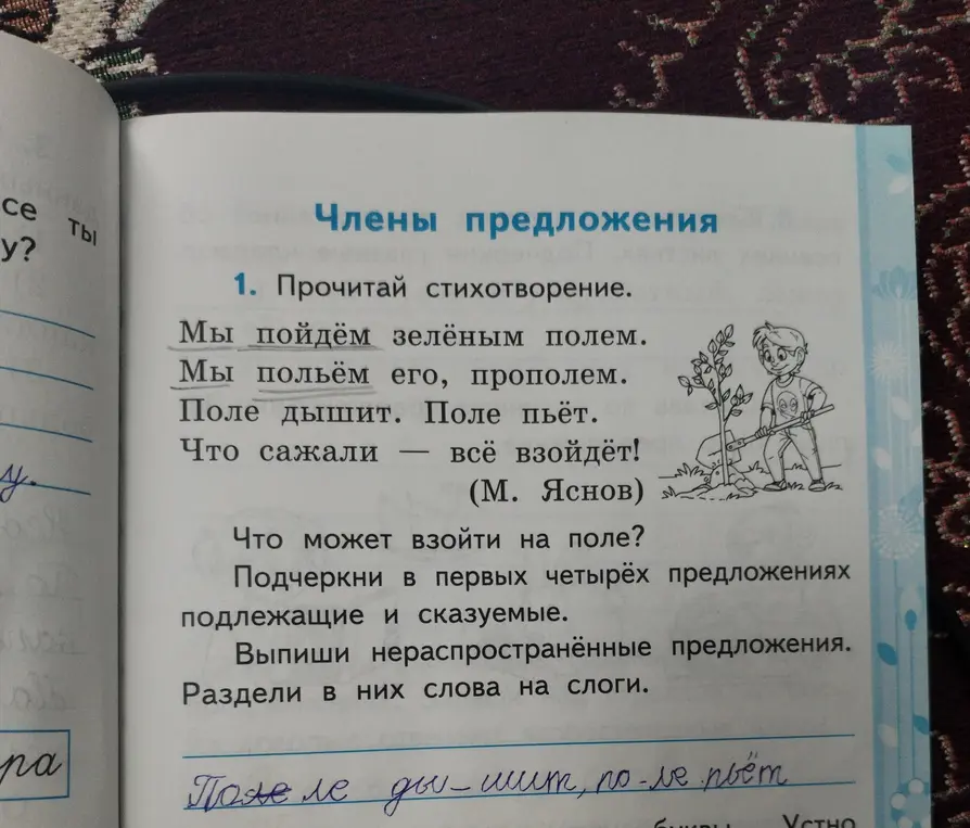 Подчеркни в первых четырёх предложениях подлежащие и сказуемые.