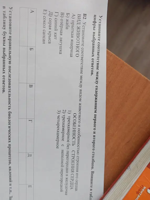 Мне нужно установить соответствие между видом животного и особенностью строения его сердца