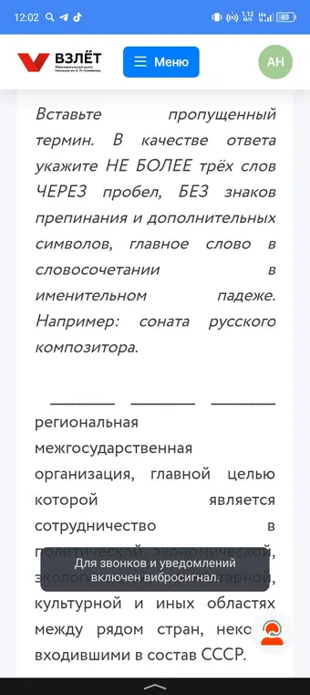 Можешь ли ты вставить пропущенный термин: региональная межгосударственная организация, главной целью которой является сотрудничество?