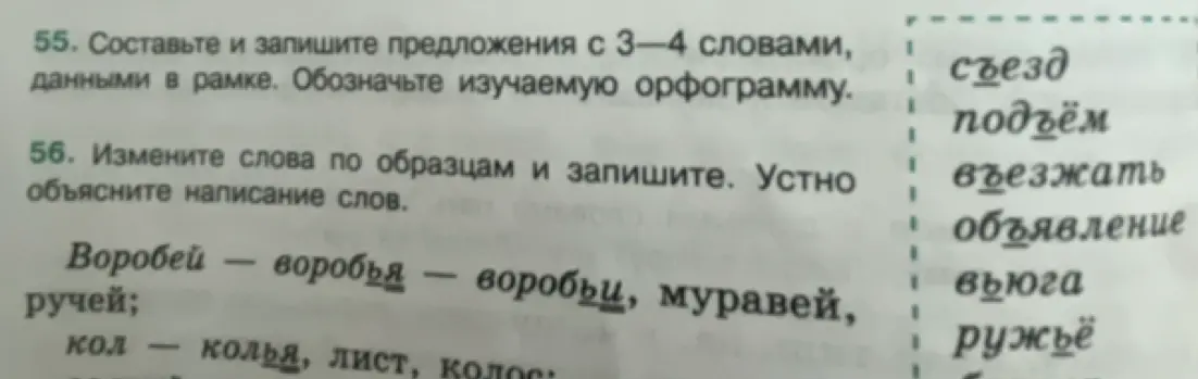 Составь и запиши предложения с 3-4 словами, данными в рамке. Измени слова по образцам и запиши.