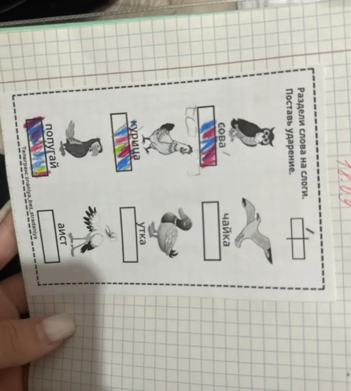 Раздели слова 'попугай', 'курица', 'сова', 'аист', 'утка', 'чайка' на слоги и поставь ударение