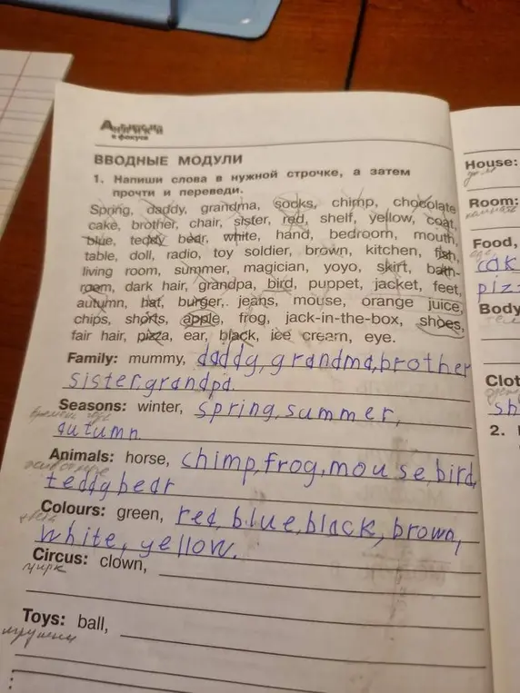 Напиши слова в нужной строчке, а затем прочти и переведи