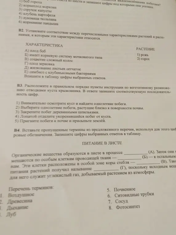 Выполни задания B1, B2, B3 и B4