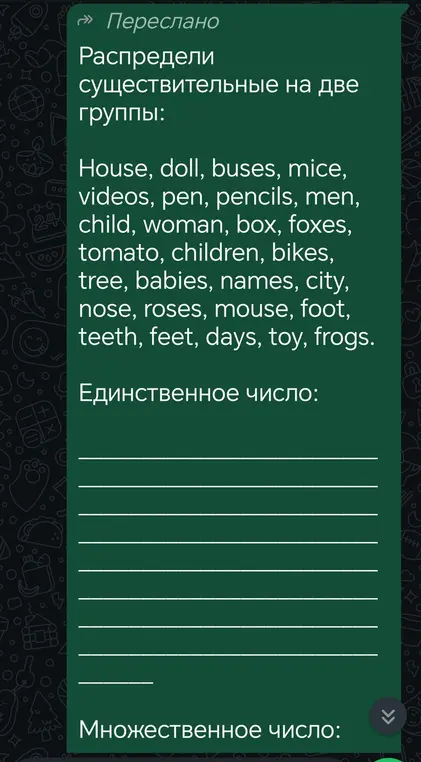 Раздели существительные на две группы: единственное и множественное число