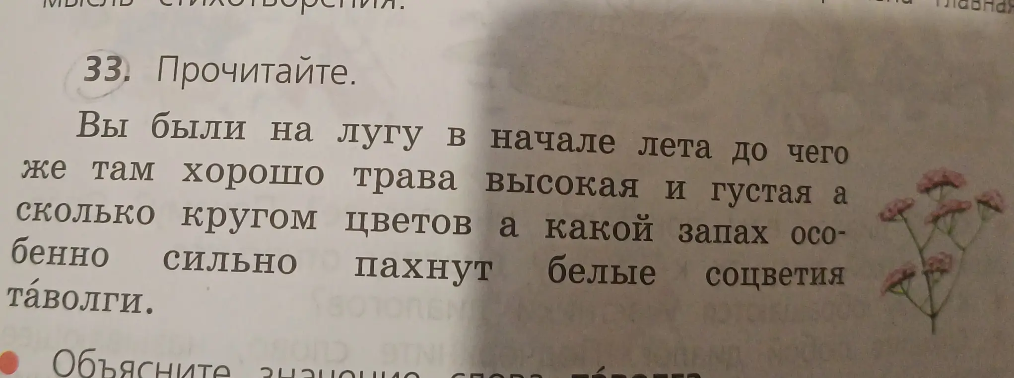 Объясни значение слова 'таволга'