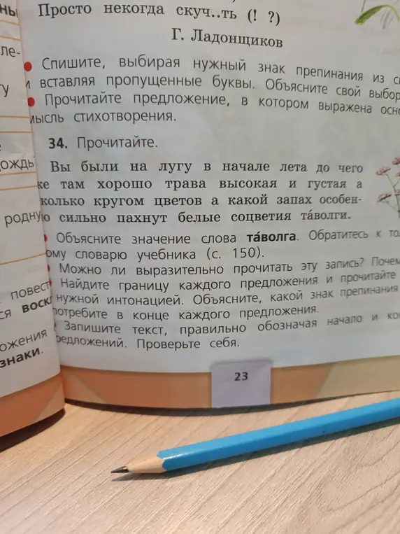 Объясни значение слова «таволга» из текста упражнения 34
